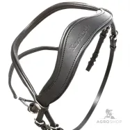 Valjad Everana Hannover Kavalkade