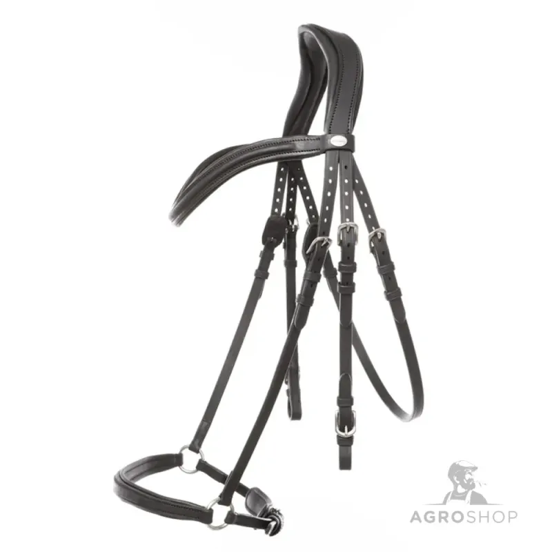 Valjad Everana Hannover Kavalkade