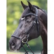 Valjad Everana Hannover Kavalkade