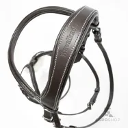 Valjad Diandro Mexican Kavalkade