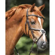 Valjad Diandro Mexican Kavalkade