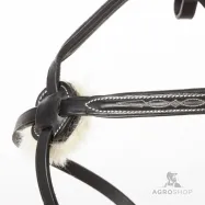 Valjad Diandro Mexican Kavalkade