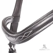 Valjad Diandro Mexican Kavalkade