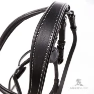 Valjad Diandro Mexican Kavalkade