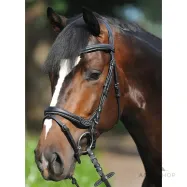 Valjad Ivy Kavalkade