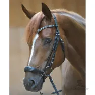 Valjad Isabella Hannoverian Kavalkade