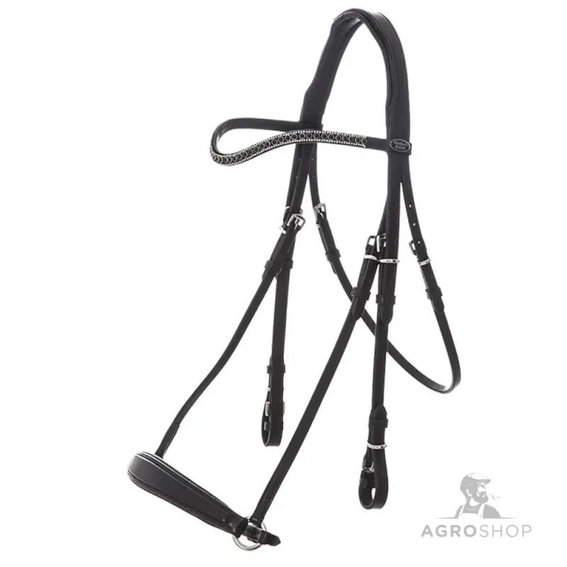 Valjad Isabella Hannoverian Kavalkade