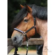 Päitsed Draft Horse Classic Kavalkade