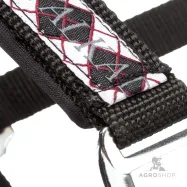 Päitsed Draft Horse Classic Kavalkade