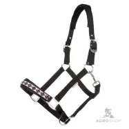 Päitsed Draft Horse Classic Kavalkade