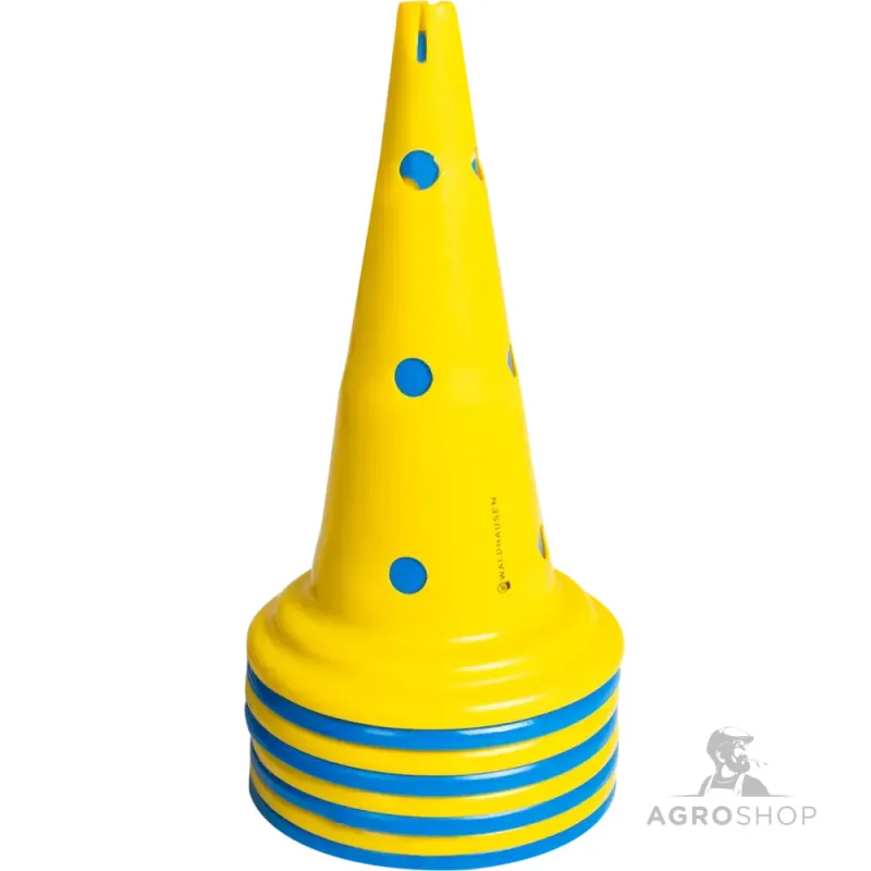 Koonused 8tk Waldhausen