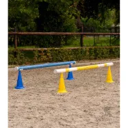 Koonused 8tk Waldhausen