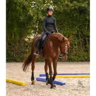 Pehmed treeninglatid Groundwork Waldhausen