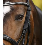 Blinkerid Waldhausen