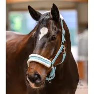 Päitsed Elegant Waldhausen