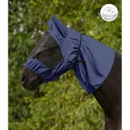 Ekseemimask Waldhausen