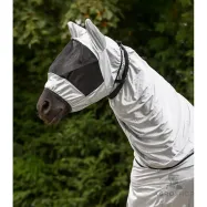 Ekseemimask Waldhausen