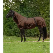 Ekseemitekk Basic Waldhausen