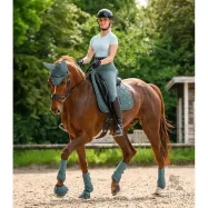 Ratsaretuusid Ella E·L·T