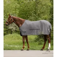 Kõhuklapiga putukatekk Comfort Waldhausen