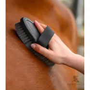 Kehahari Synthetic Waldhausen