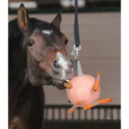 Porgandipall Waldhausen