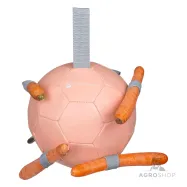 Porgandipall Waldhausen