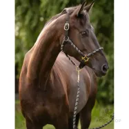 Päitsed Limone Sportive Lauria Garrelli