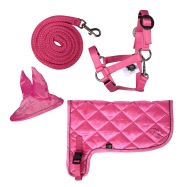 Komplekt Neon Hobby Horsing HKM