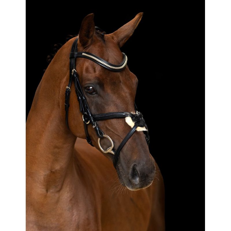 Valjad Mexican Imperial Riding