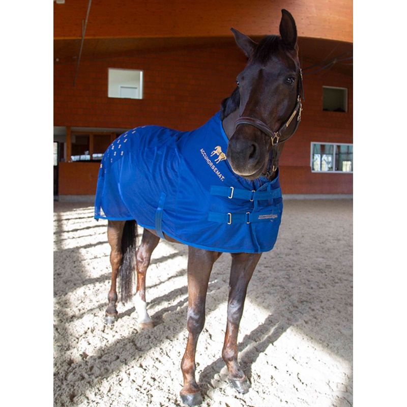 Teraapiline tekk Accuhorsemat Cooler