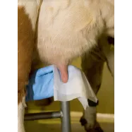 Niisked udara paberrätikud UdderClean hoidjas 800tk