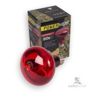 Soojenduslamp Powerheat punane 60W
