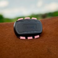Kinnitusklamber GPS-jälgijale FENCEe EquiGPS Track, roosa, 3 tk
