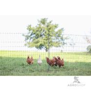 Aiavõrk PoultryNet Premium kanadele 1,22x50m jalatoega