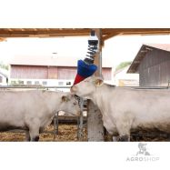 Lehmahari HAPPYCOW FlexiSwing