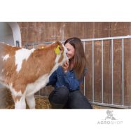 Vasikamaja CalfHouse Premium DUO piirdega