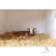 Vasikamaja CalfHouse Premium DUO piirdega