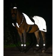 Trennitekk Reflex Waldhausen
